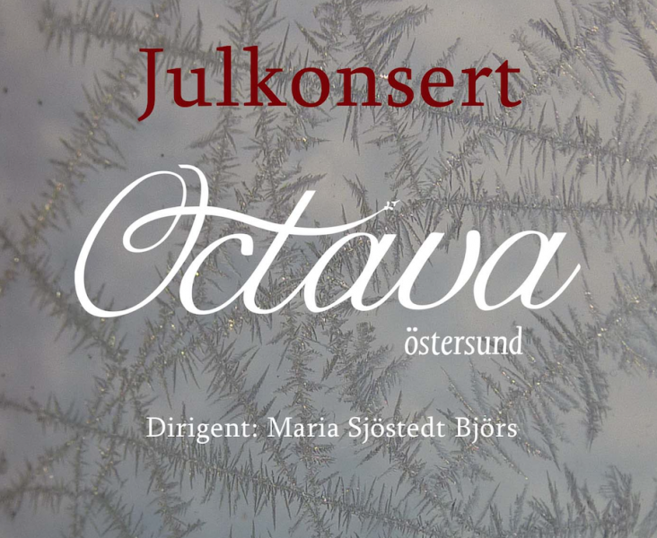 Julkonser